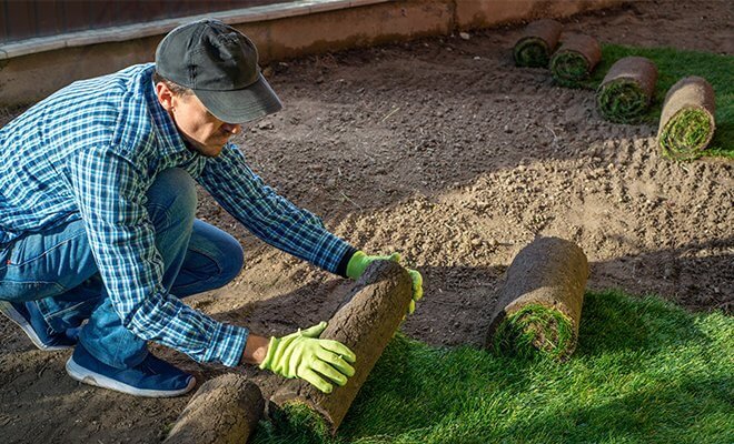 sod service