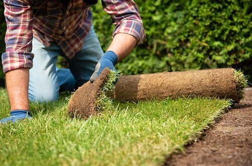 sod service