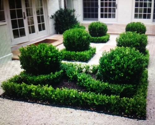 tree shrubs and flower services