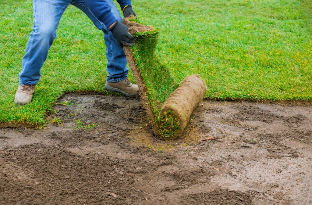 sod service