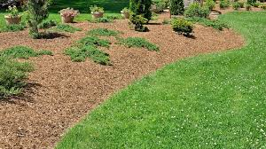 Fresh Mulch for a Cleaner, Healthier Landscape in Sparks, NV