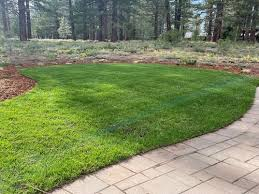 Hoskins Landscaping in Reno, NV
