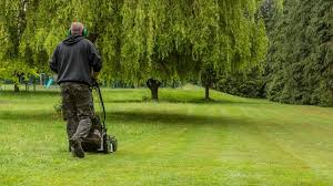 Landscapers in Reno, NV