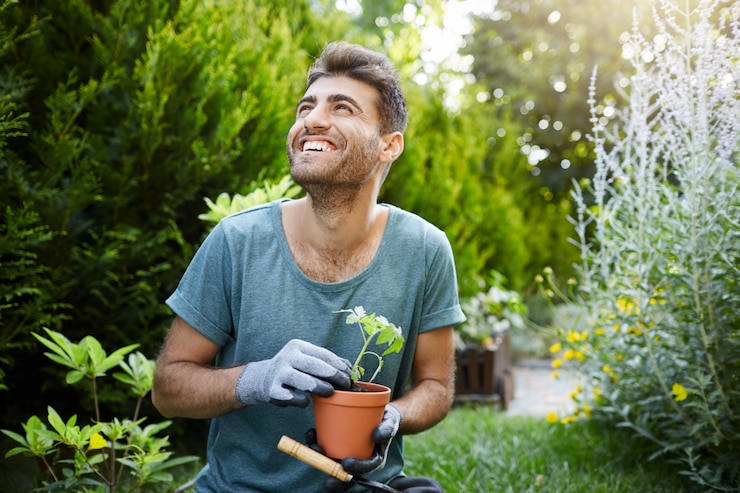 Landscapers in Reno, NV