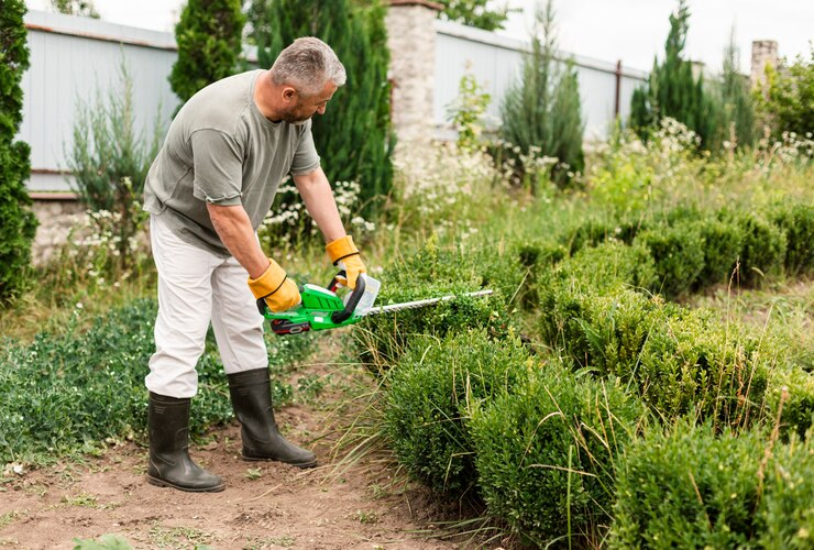 Landscapers in Reno, NV