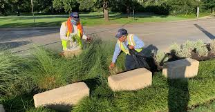 Landscapers in Reno, NV