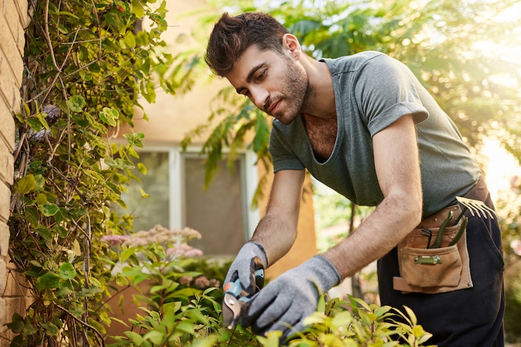 Landscapers in Reno, NV
