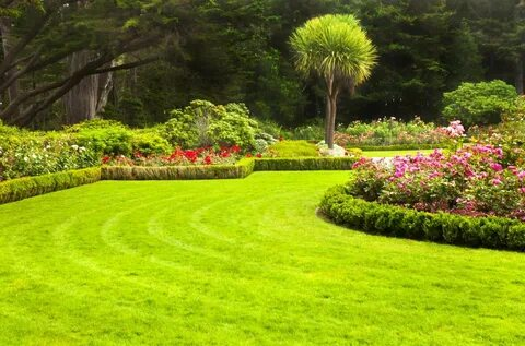 Landscapers in Reno, NV