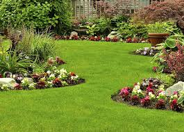 Landscaping Dreams in Reno, NV