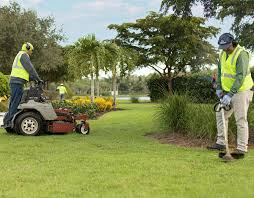 Landscaping Partner in Sparks, NV