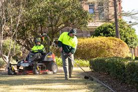Landscaping Partner in Sparks, NV