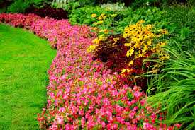 Landscaping Partner in Sparks, NV