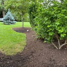 Landscaping Partner in Sparks, NV