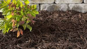 Mulch and Soil in Reno, NV