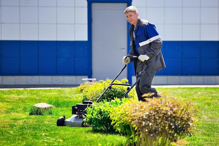 Landscapers in Sparks, NV