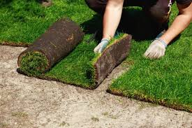Sod Installation in Reno, NV
