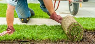 Sod Installation in Reno, NV