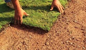 Sod Installation in Reno, NV