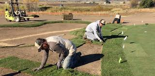 Sod Installation in Reno, NV