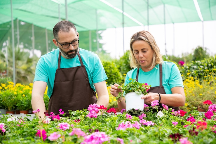 Tree and Shrub Nursery Services in Sparks, NV