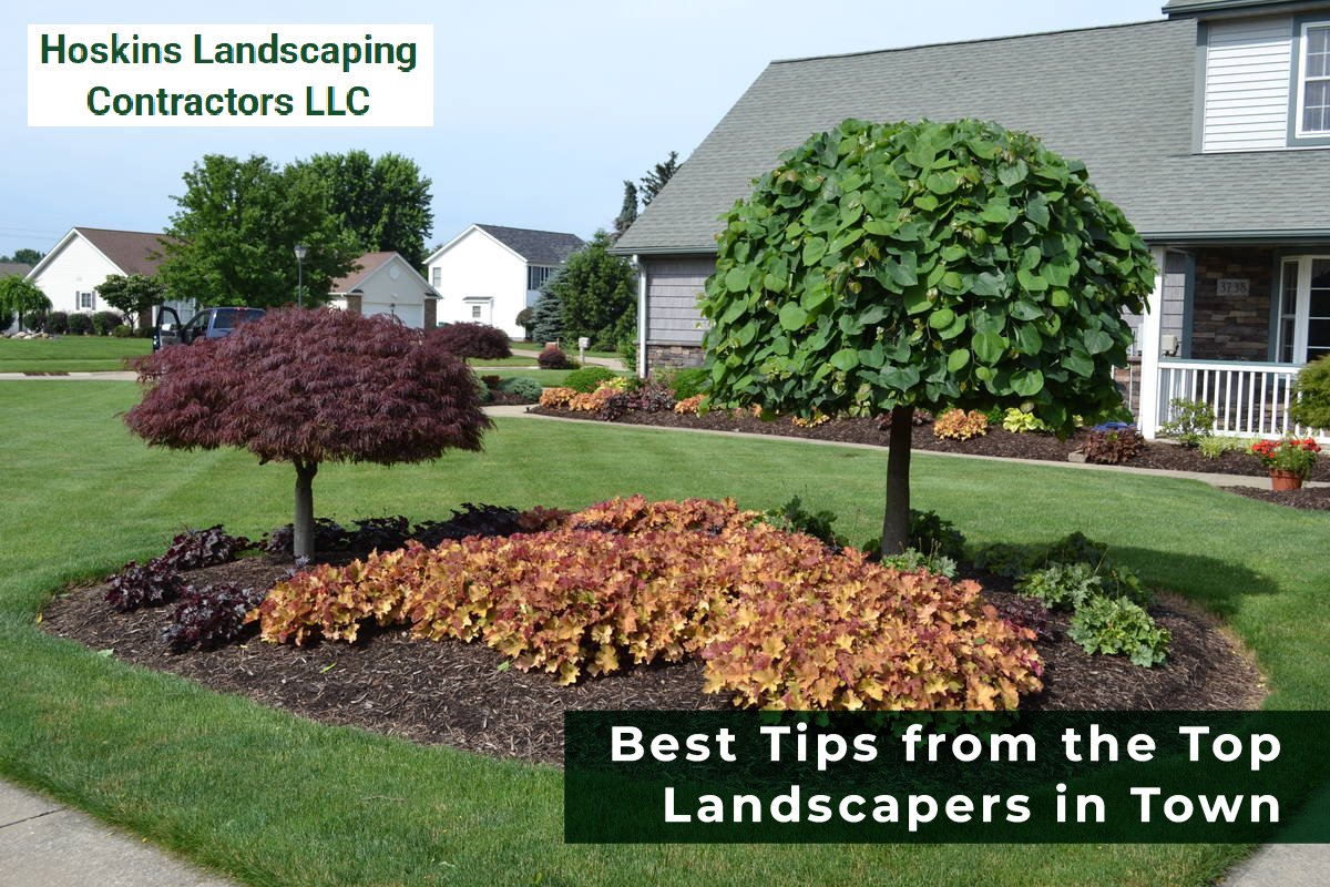 top landscapers