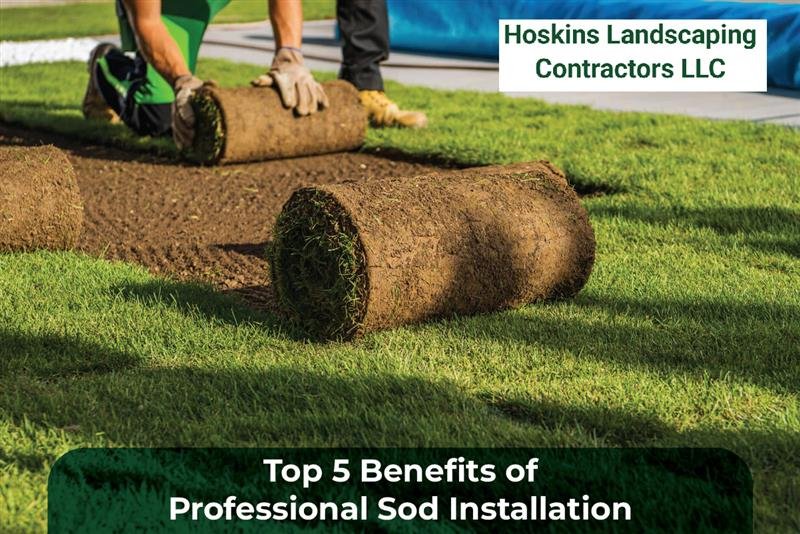 sod installation