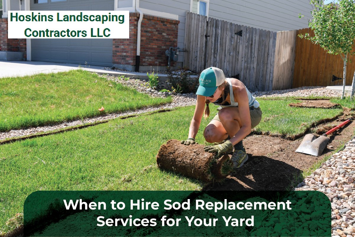 sod replacement services