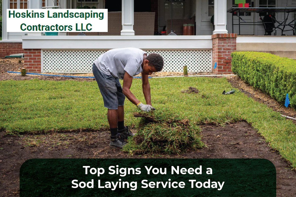sod laying service