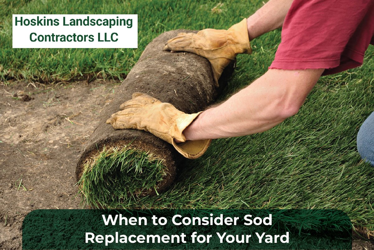 Sod Replacement
