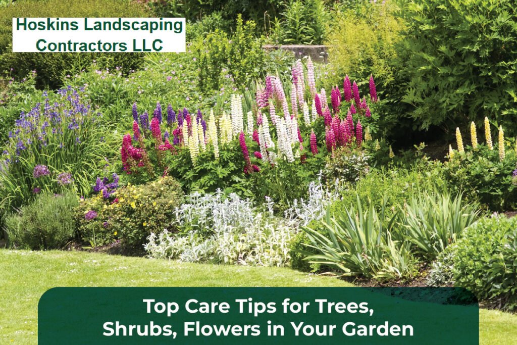 Trees Shrubs Flowers