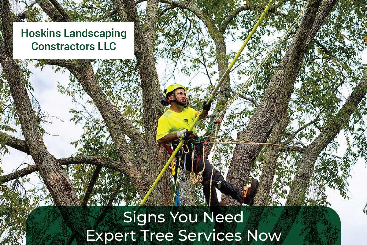 Tree Services